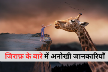 Facts About Giraffe in Hindi