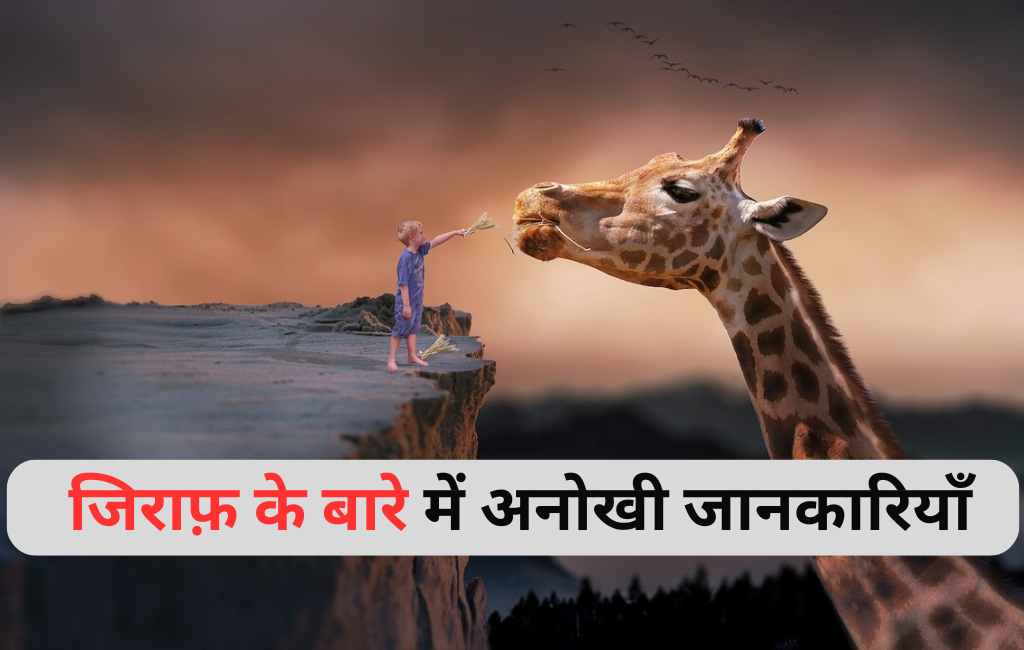 Facts About Giraffe in Hindi