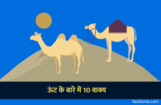 10 Sentences about camel in Hindi