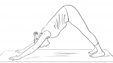 This image has an empty alt attribute; its file name is Adho-Mukha-Shvanasana.png