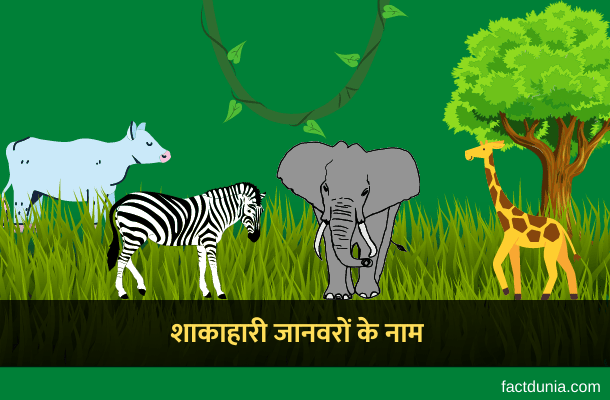 herbivorous-animals-names-in-hindi
