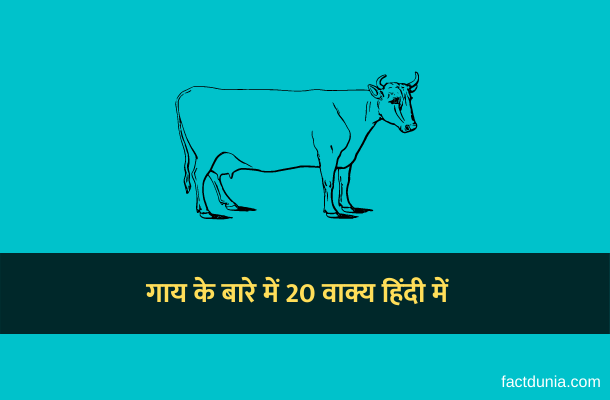 lines on cow in Hindi