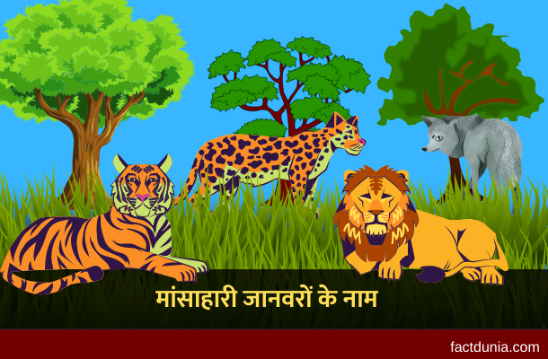 20 मांसाहारी जानवरों के नाम हिंदी इंग्लिश में - Carnivorous Animals Name in  Hindi