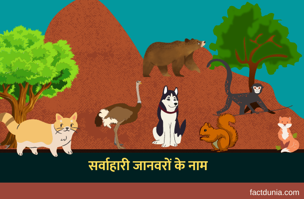 Omnivores Animals Names in Hindi