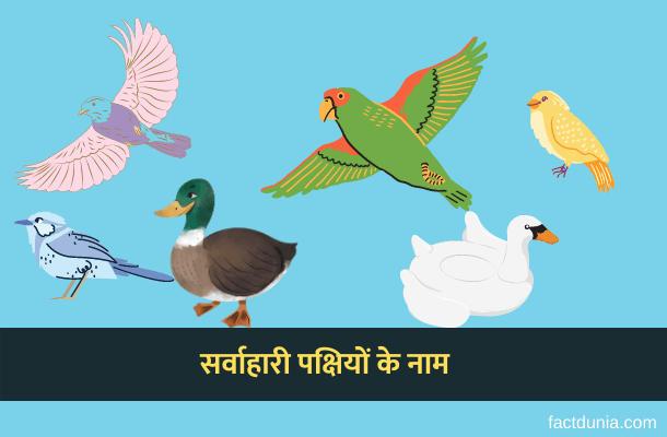 10 सर्वाहारी पक्षियों के नाम हिंदी इंग्लिश में – Omnivores Birds Name in Hindi English