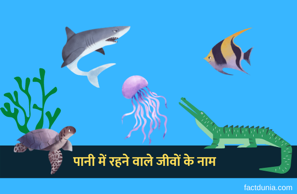 Water Animals Name in Hindi | पानी में रहने वाले 20 जानवरों के नाम