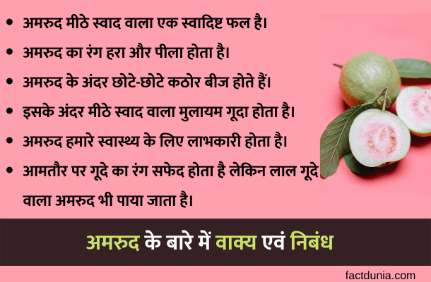 10-Lines-on-guava-in-Hindi