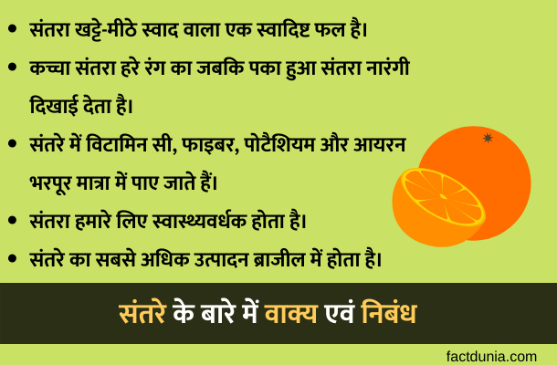 10 Lines on orange in Hindi