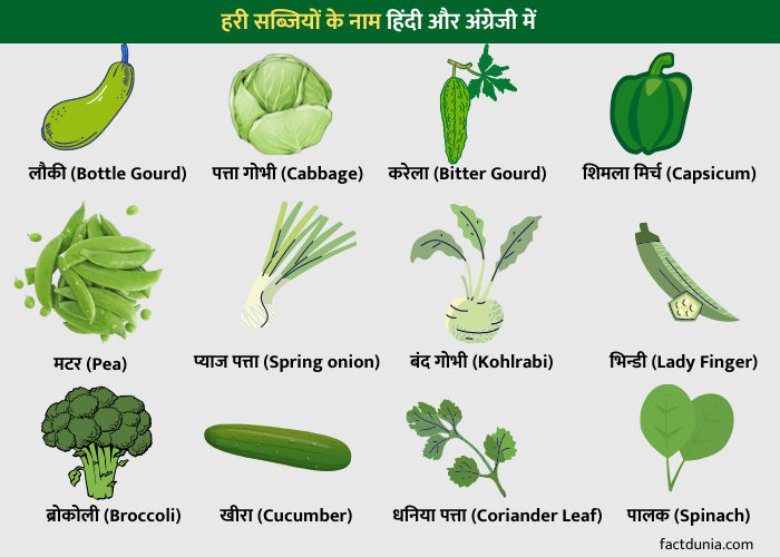 green vegetables name in Hindi and English