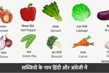 Vegetables Name in Hindi English
