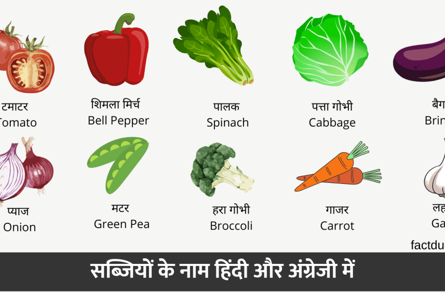 Vegetables Name in Hindi English | 100+ सब्जियों के नाम हिंदी और इंग्लिश में